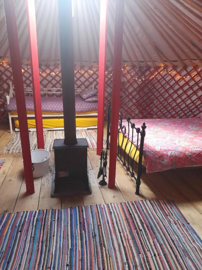 Hôtel Alder Yurt Wych Elm Glamping à Helston Extérieur photo